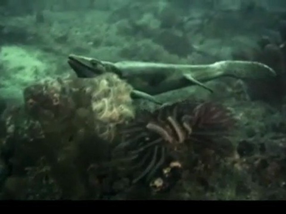 Vor 75 Millionen Jahren -  _ Mosasaur Rampage