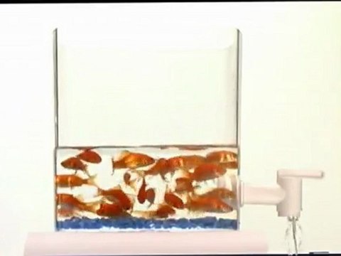 Partnership for a Drug-Free America PSA Commercial: Fishtank