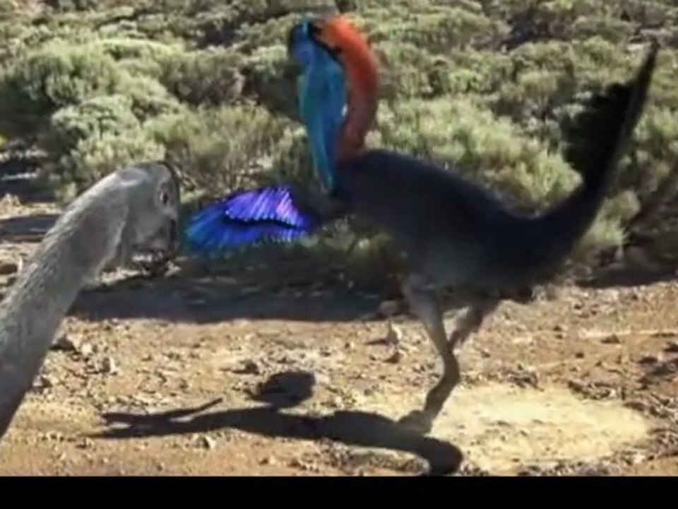 Vor 70 Millionen Jahren - _ Dancing Gigantoraptor