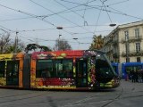 Les Tramways de Montpellier en photos N°2
