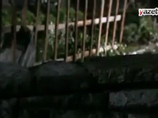 Memati Abdülhey Çıkmayın .