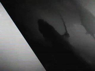 Zeichen setzen! (DV)