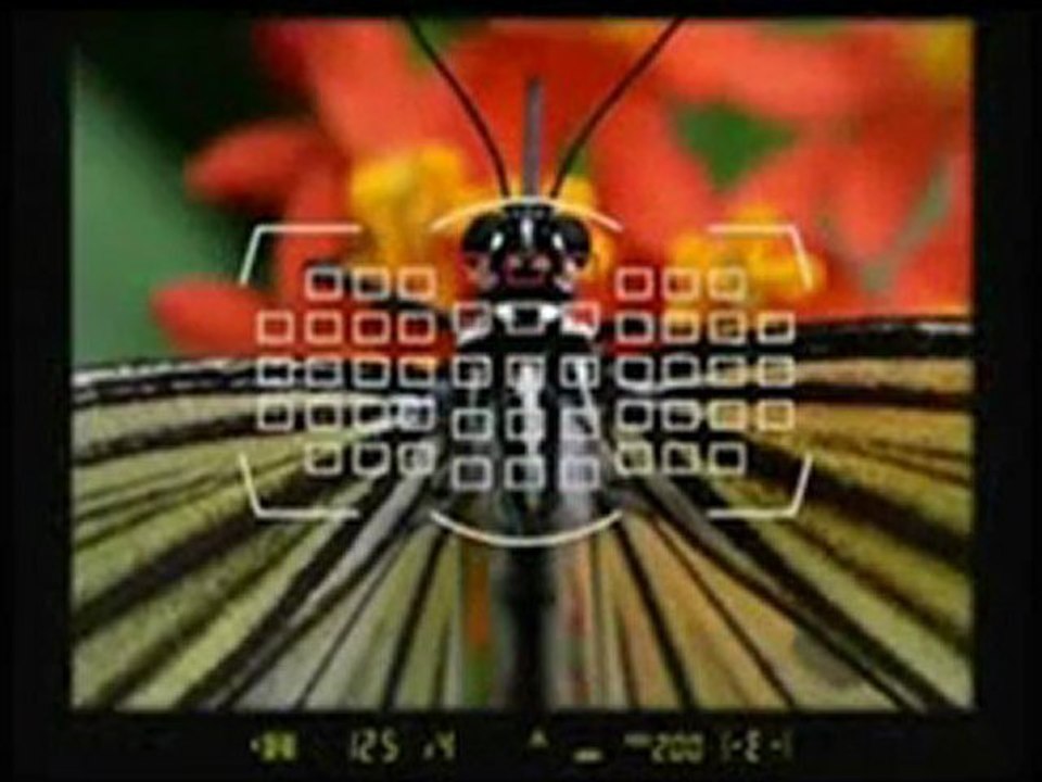 Nikon D800 36.3 MP CMOS FX-Format Digital SLR Camera (Body Only) Best Price