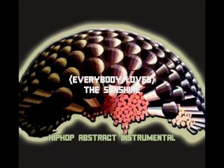 (Everybody Loves) The Sunshine (HipHop Abstract Instrumental)