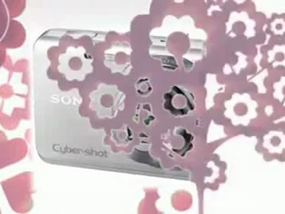 Sony Cyber-shot DSC-W650 16.1 MP Digital Camera with 5x Optical Zoom and 3.0-Inch LCD (Black) Best Price