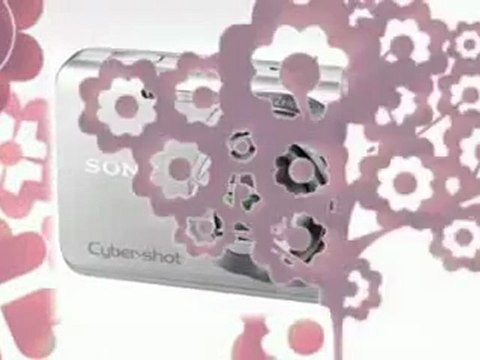 Sony Cyber-shot DSC-W650 16.1 MP Digital Camera with 5x Optical Zoom and 3.0-Inch LCD (Black) Best Price