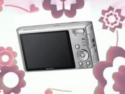 Sony Cyber-shot DSC-W610 14.1 MP Digital Camera Preview | Sony Cyber-shot DSC-W610 14.1 MP Digital Camera Sale