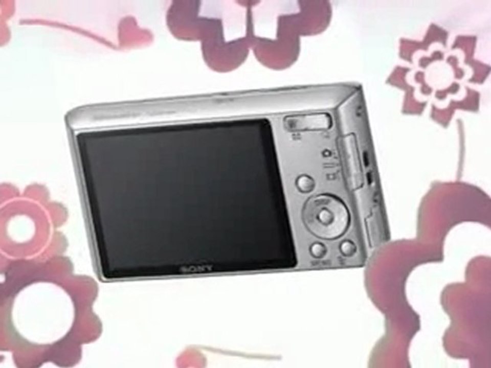 Sony Cyber-shot DSC-W610 14.1 MP Digital Camera Preview | Sony Cyber-shot DSC-W610 14.1 MP Digital Camera Sale