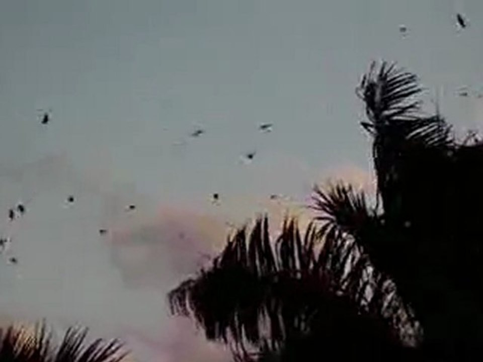 Nikon COOLPIX S6300 16 MP Digital Camera Preview | Nikon COOLPIX S6300 16 MP Digital Camera For Sale