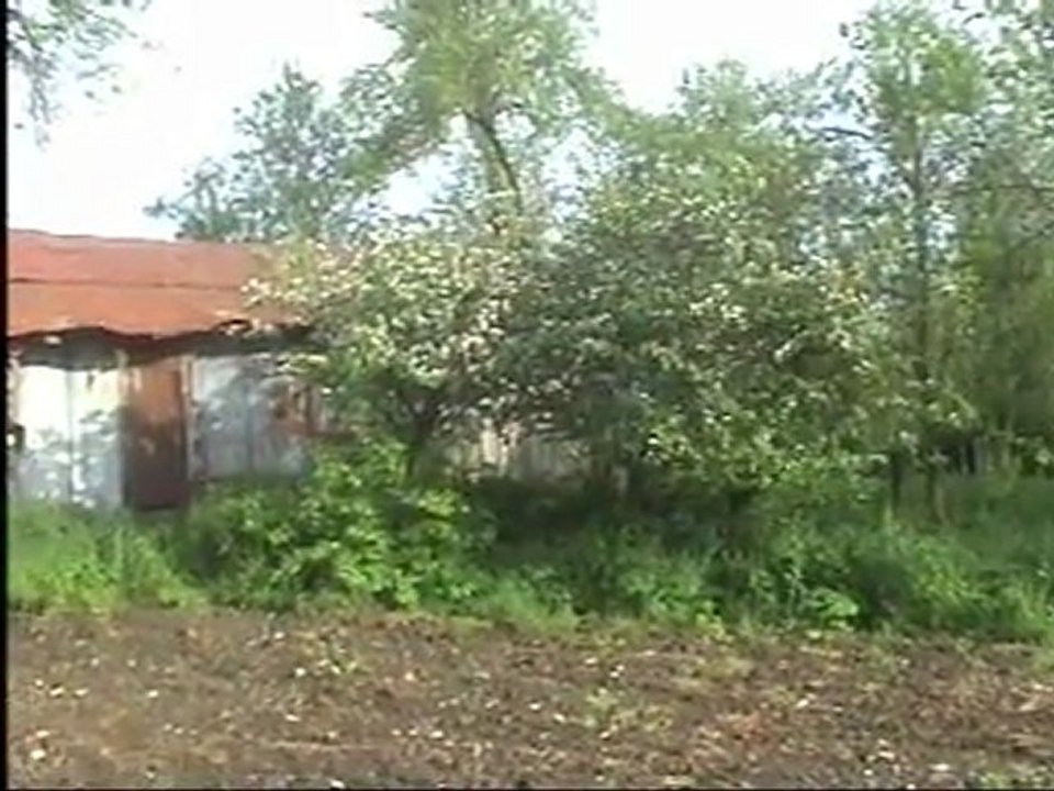 yaz ortası