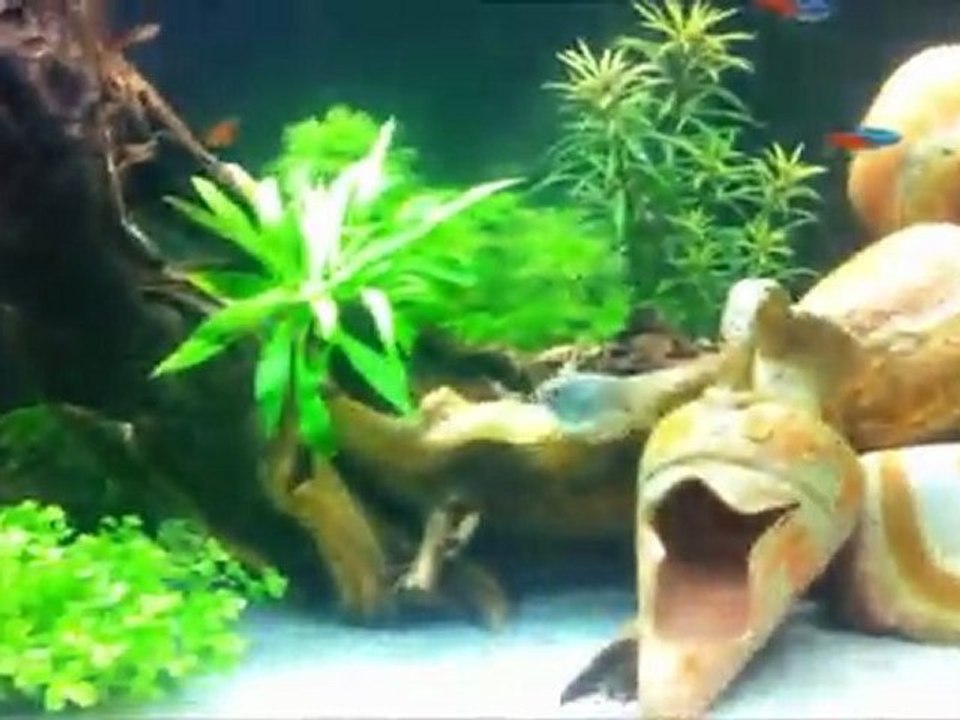 Mon 200L
