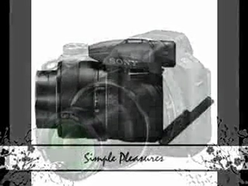 Sony Cyber-shot DSC-HX200V 18.2 MP Exmor R CMOS Digital Camera Review | Sony Cyber-shot DSC-HX200V 18.2 MP Exmor R CMOS