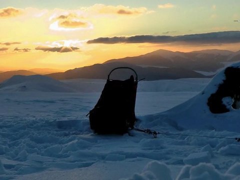 Saison 2011 2012 avec nos chiens de traîneau : les plus belles images, mais aussi des inédits !!!