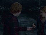 Harry Potter and the Deathly Hallows Part II - Clip Chamber Of Secrets