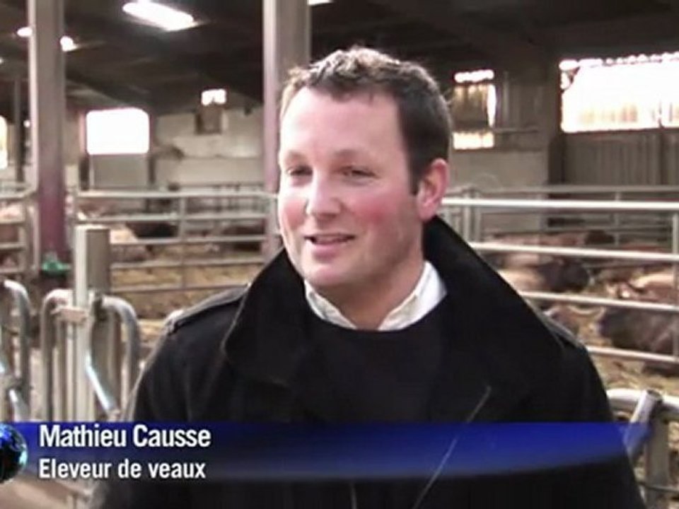 Agriculture: un fertilisant naturel pour remplacer l'engrais