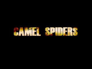 Camel Spiders - Trailer