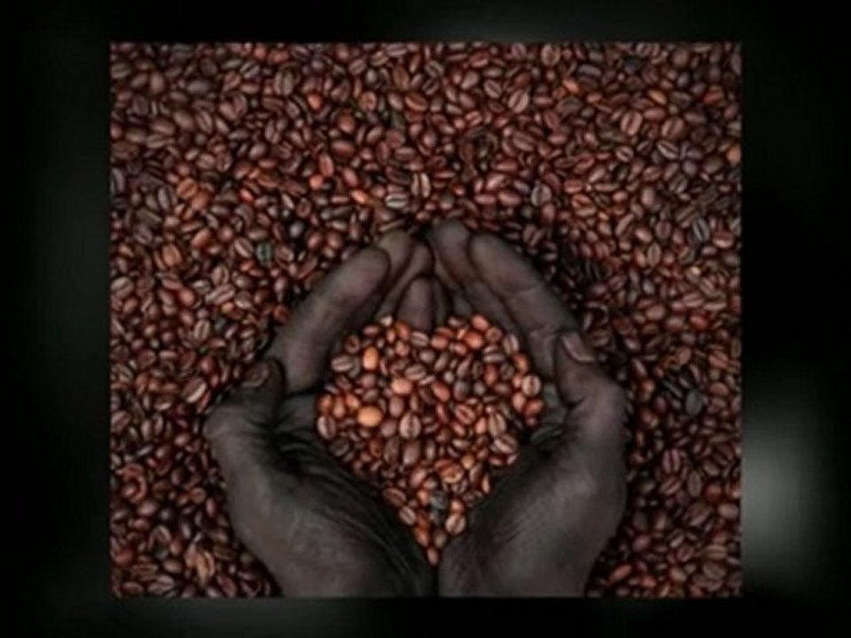 Commercial Coffee Machines