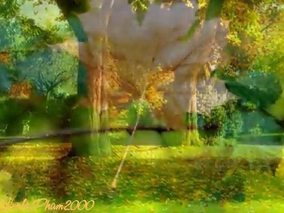 Riêng Một Góc Trời (Ngô Thụy Miên - Tuấn Ngọc)