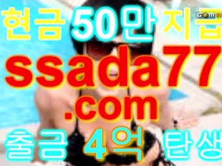▶┏ 정선카지노 ┓◀▶┏ DAMO77.COM ┓◀