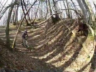 Marcassins 14 Mars.12