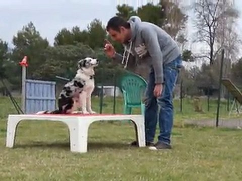 gao initiation agility 1er cours