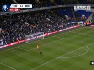 Fabrice Muamba collapsed on pitch