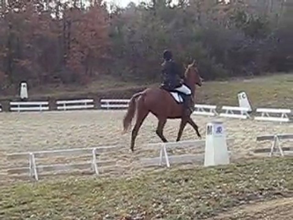 Takin CCE Montayral Club 2 (dressage)