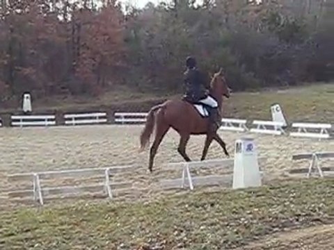 Takin CCE Montayral Club 2 (dressage)