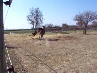 Coeur-Caillou-Gris-17-03-2012 001