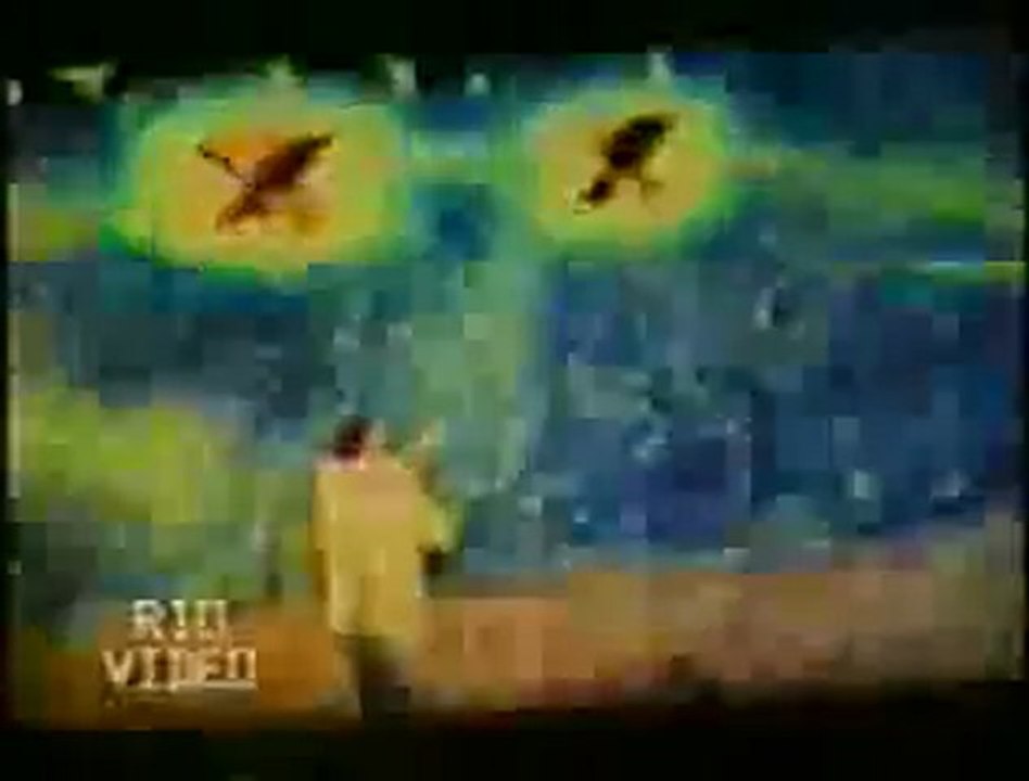 Salman Rushdie International Guerilla