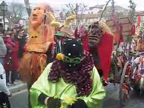 Défilé carnaval Saint-Rémy de Provence le 17 mars 2012