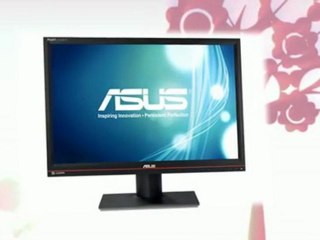 Amazing Deal Review - Asus PA246Q 24 Inch LCD Monitor