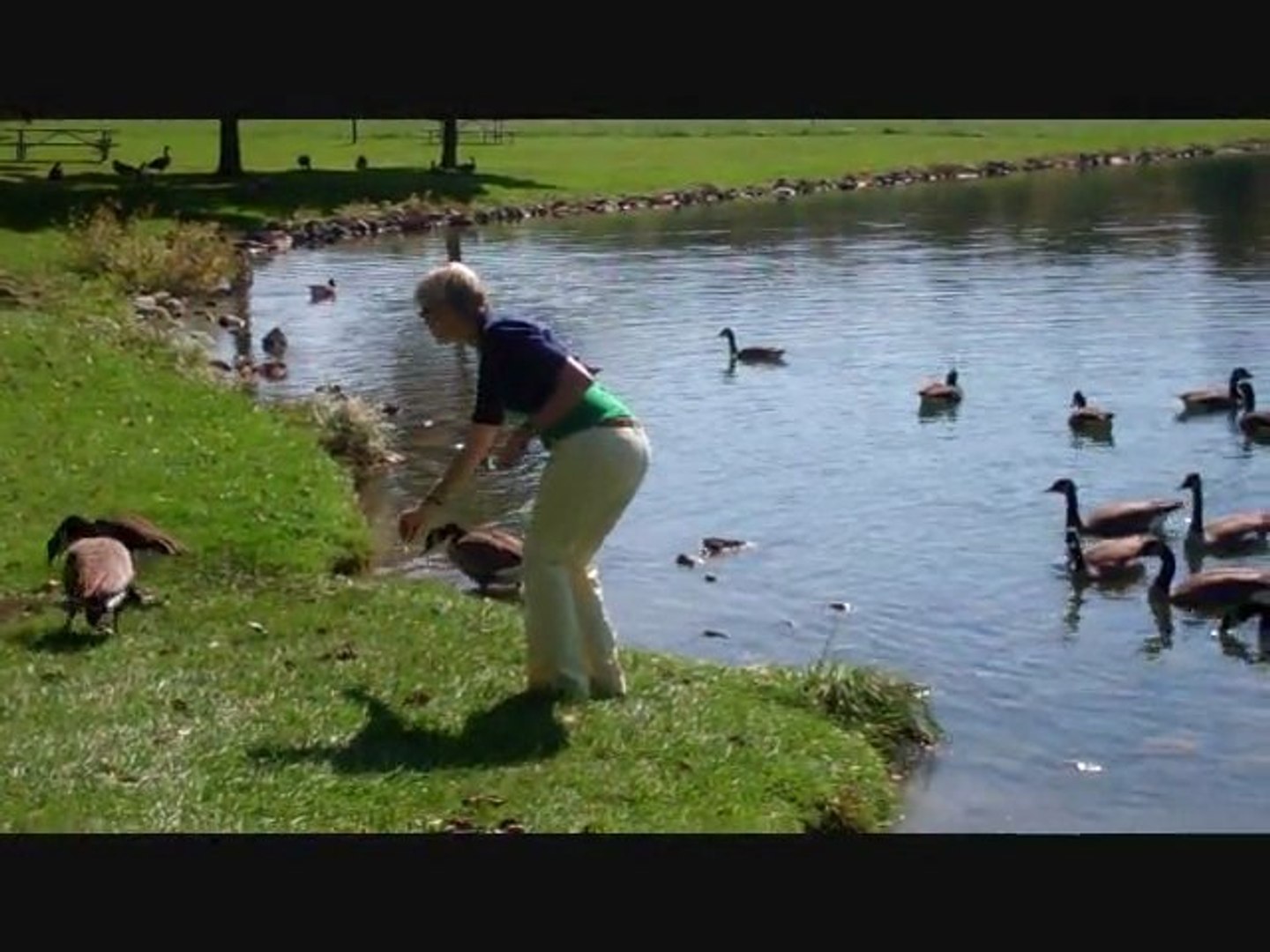 ⁣Sounds of Birds & Ducks