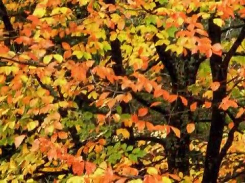 Aylin Şengün Taşçı - Aşktan Yana (2006) & Huzur (2012) Albümlerinden 3 parça