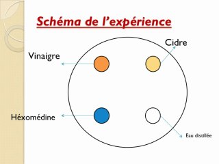 Fabrication d'un vinaigre de cidre et analyses biotechnologiques