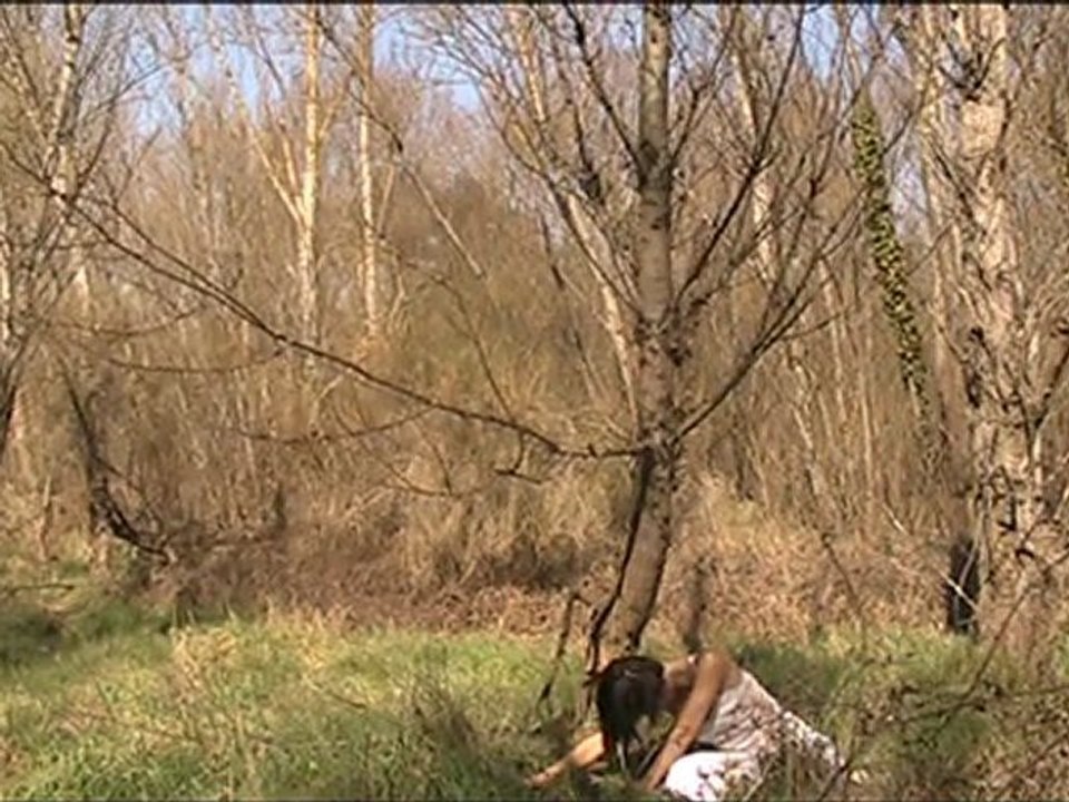 # 27 - Arbre de vie