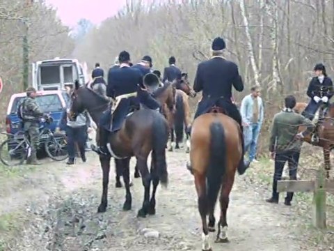 Chasse à courre : Halatte le Départ