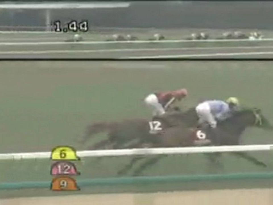 18.03.2012 Hanshin (JPN) 11.Race The Hanshin Daishoten 2012 - Group II 3.000 m