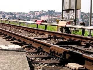 test line metro sp