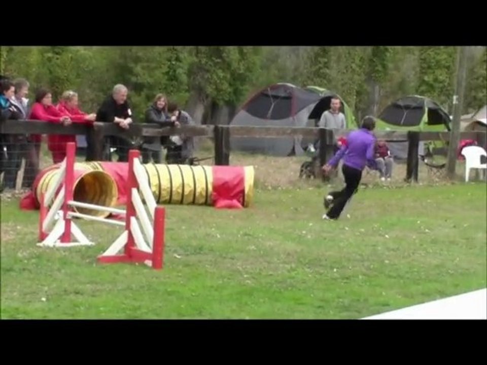 Buck Agility Eyragues 17/03/12