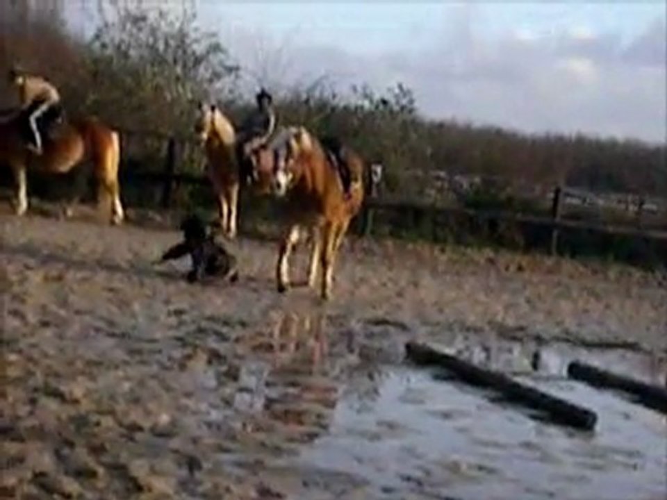 Ma chute à cheval