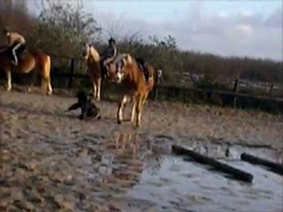 Ma chute à cheval