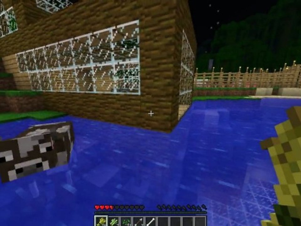 /Vidéo-Délire\ Minecraft : L'épopée des Z'animaux