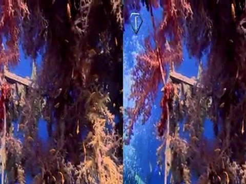 FashionTV Black & White Diamonds 3D Photoshoot | FashionTV