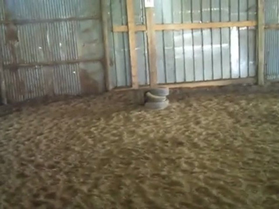 Sans Titre