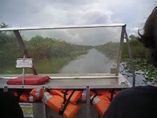 Hydroglisseur aux Everglades