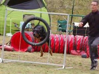 concours agility - ckbo 2012