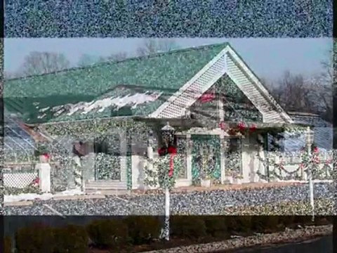 Polycarbonate Snow Guards for Metal Roofing