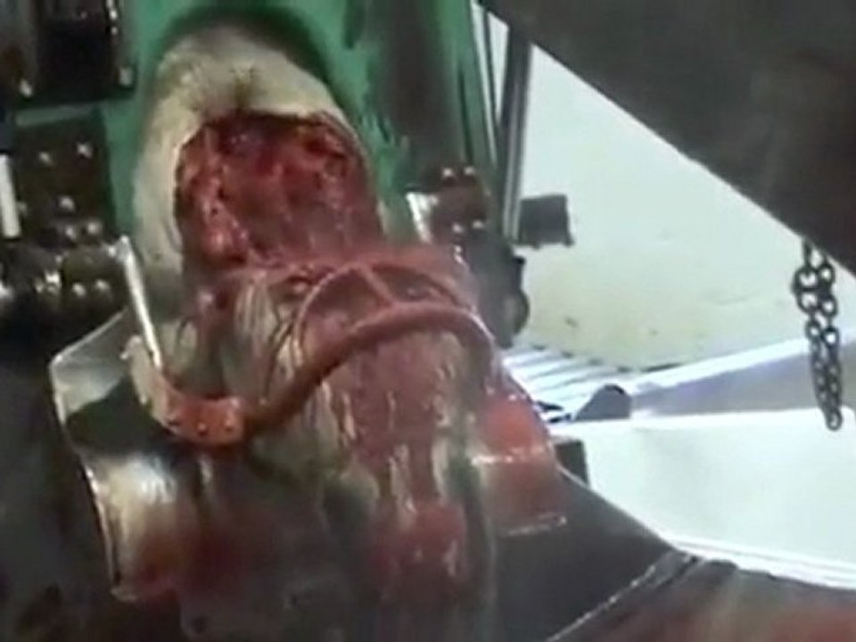 Meat, Viande, 肉, Fleisch, 고기, Carne, Vlees, Mясо, 肉