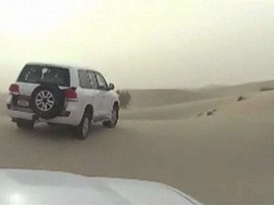 balade dans les dunes